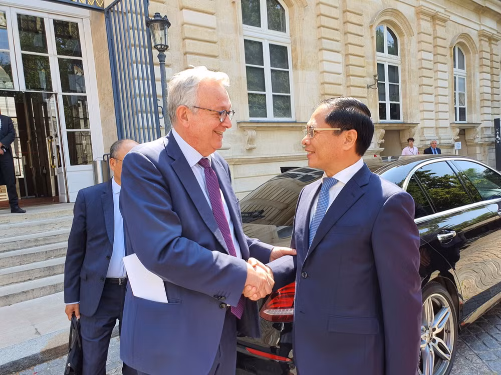 Vietnam concede al desarrollo de nexos de cooperación con Francia, afirma canciller ảnh 1