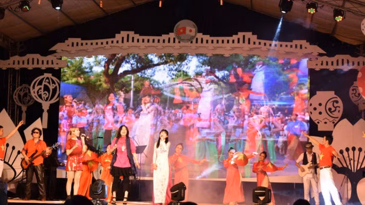 Celebran Días de Cultura japonesa en provincia vietnamita de Quang Nam ảnh 1