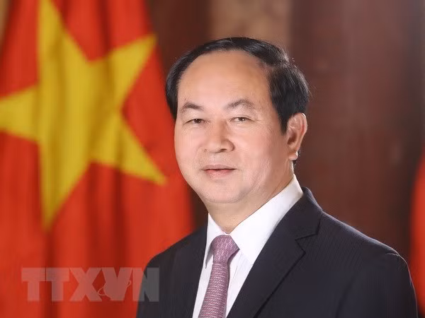 Próxima visita de presidente Dai Quang evidencia que Vietnam prioriza lazos con Egipto ảnh 1 Próxima visita de presidente Dai Quang evidencia que Vietnam prioriza lazos con Egipto ảnh 1