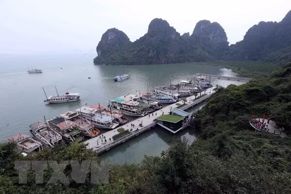 Buen ritmo en llegada de turistas a provincia norvietnamita de Quang Ninh ảnh 1