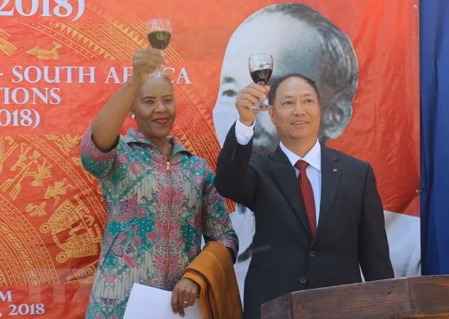 Sudáfrica desea aumentar comercio bilateral con Vietnam ảnh 1