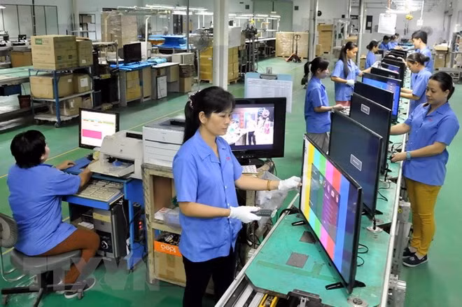 Crece intercambio comercial entre Vietnam y la República Checa ảnh 1
