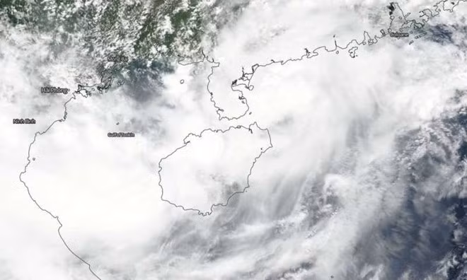  Provincia vietnamita de Quang Ninh se prepara ante la amenaza del tifón Bebinca ảnh 1