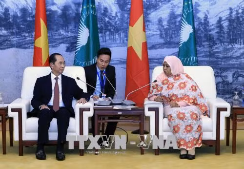 Vietnam concede importancia al fomento de nexos con África, afirma presidente ảnh 1