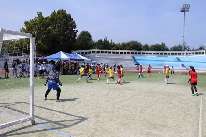 Nutrida participación de estudiantes vietnamitas en evento deportivo en Corea del Sur ảnh 1