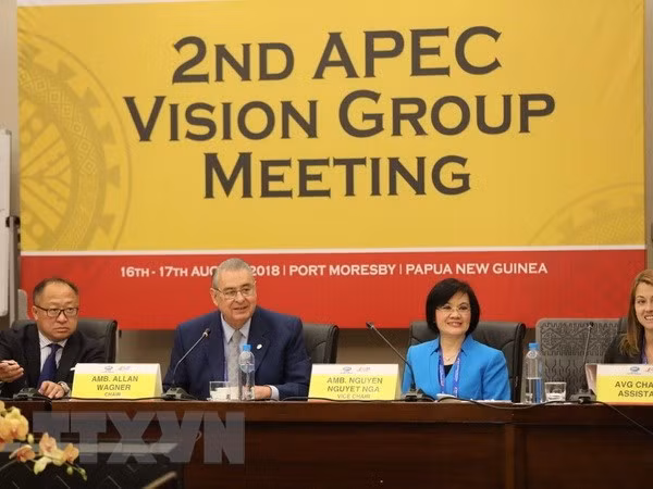 Realizan preparaciones de APEC 2018 en Papúa Nueva Guinea ảnh 1