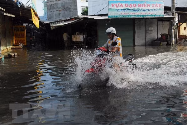 Ciudad Ho Chi Minh llama a inversiones en proyectos de prevención de inundaciones y tratamiento de aguas ảnh 1
