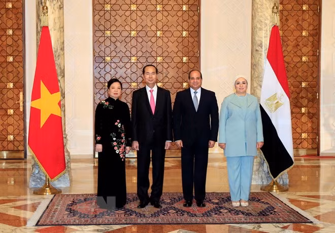 Vietnam y Egipto acuerdan promover cooperación en todas las esferas ảnh 1 Vietnam y Egipto acuerdan promover cooperación en todas las esferas ảnh 1