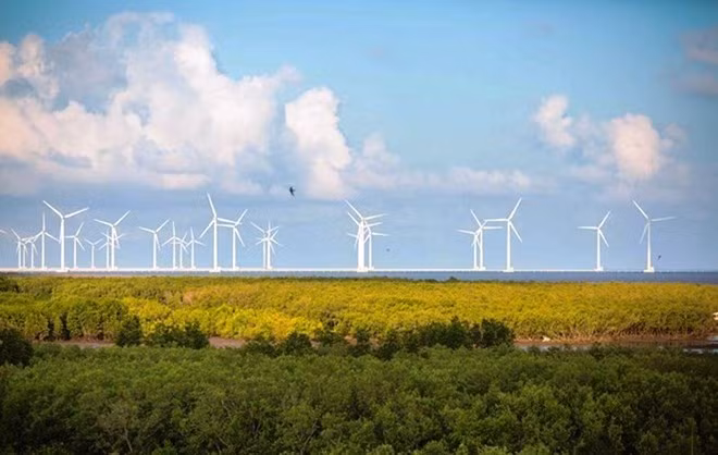Inician Semana de Energía Renovable en Vietnam ảnh 1