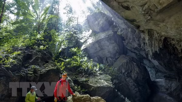 Descubren 44 nuevas cuevas en parque Phong Nha-Ke Bang en Vietnam ảnh 1