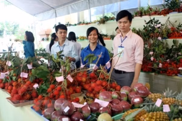 Empresas de Hanoi participarán en feria de frutas y vetegales en Hong Kong ảnh 1