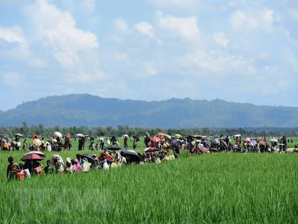 Myanmar alerta inestabilidad regional por riesgos de terrorismo en estado Rakhine ảnh 1
