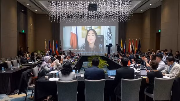 Comercio digital dinamiza la ASEAN ảnh 1