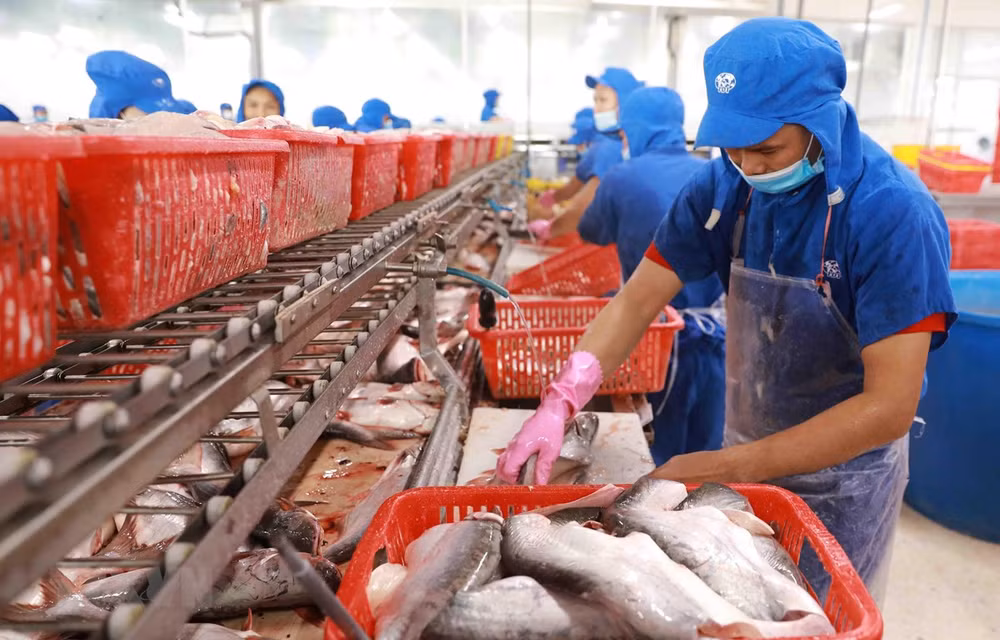 Nace Festival del Pescado Tra de Vietnam ảnh 1