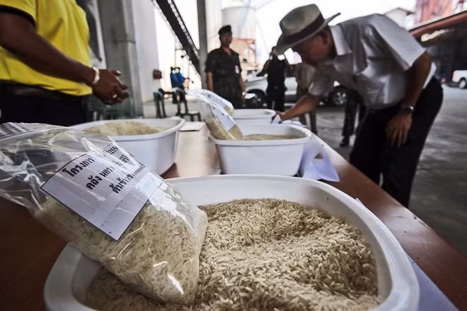 Tailandia capta primera señal positiva en exportación durante últimos cinco meses ảnh 1 Tailandia capta primera señal positiva en exportación durante últimos cinco meses ảnh 1