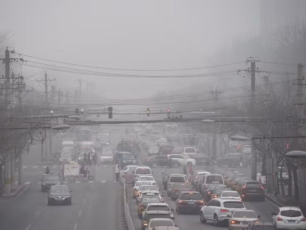 OMS: El ser humano está amenazado por la contaminación ambiental ảnh 1