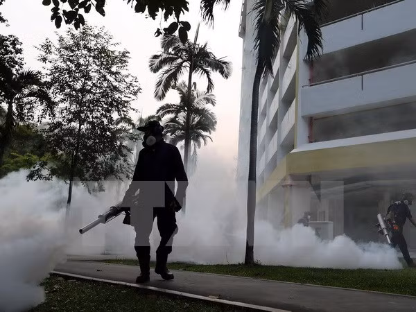 Singapur confirma 16 embarazadas infectadas por Zika ảnh 1