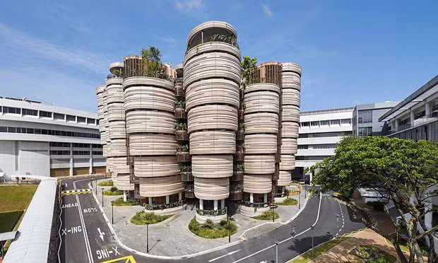 Universidad de Singapur se mantiene como la mejor entre las recién establecidas ảnh 1