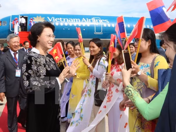 Vietnam y Laos enfatizan necesidad de cooperar en investigación teórico–práctica ảnh 1