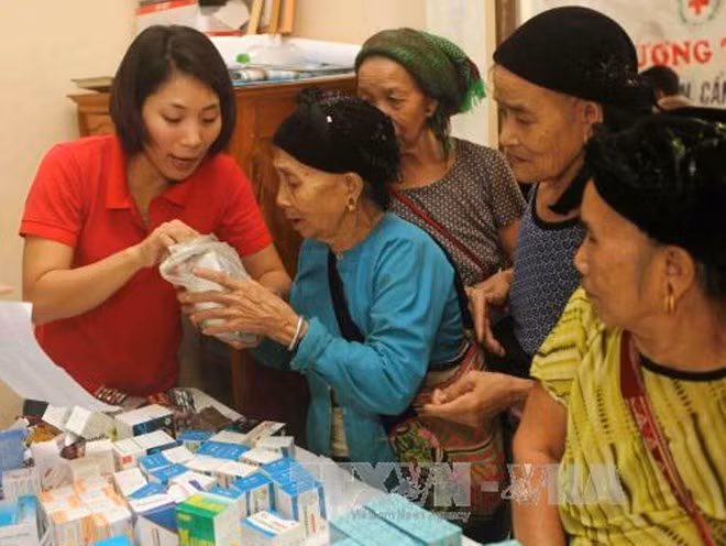 Asistencia holandesa al empoderamiento de mujeres en Vietnam ảnh 1