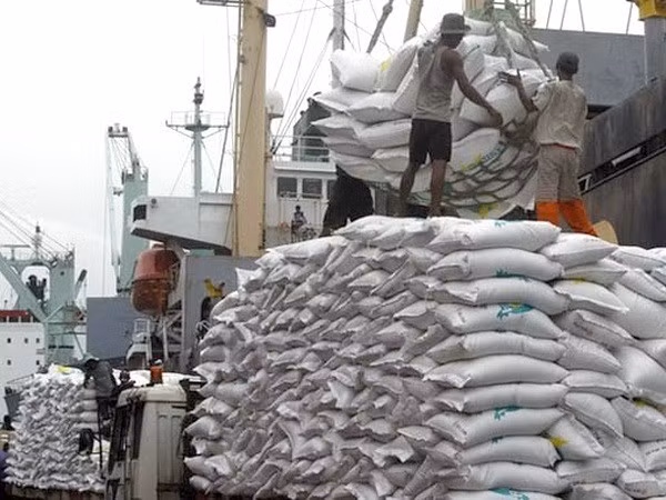 Presidente de Indonesia firma regulación sobre reservas de alimentos del gobierno ảnh 1
