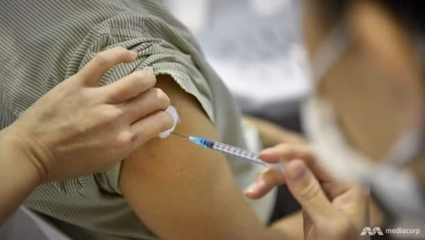 Singapur ofrece vacuna bivalente contra la COVID-19 a mayores ảnh 1
