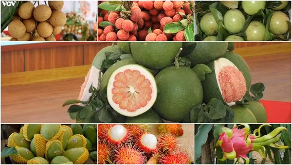 Comercio exterior de Vietnam podría alcanzar nuevo récord en 2022 ảnh 2