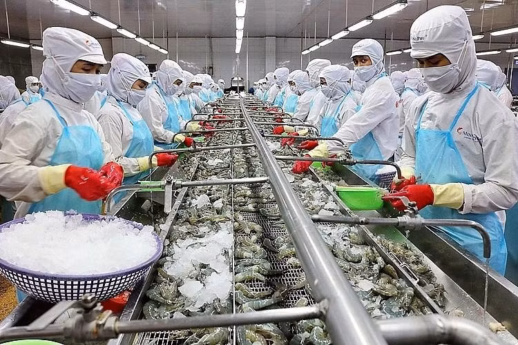 Exportaciones acuáticas vietnamitas superarán los 10 mil millones de dólares en 2022 ảnh 1