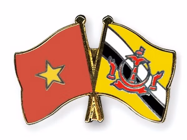  Jefe de Estado Mayor general del Ejército Popular de Vietnam visita Brunéi ảnh 1