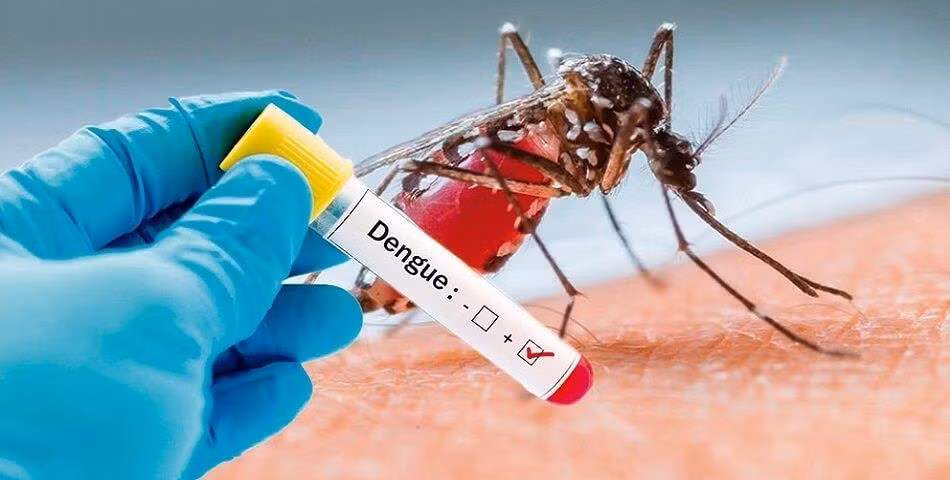 Laos refuerza medidas contra dengue ảnh 1