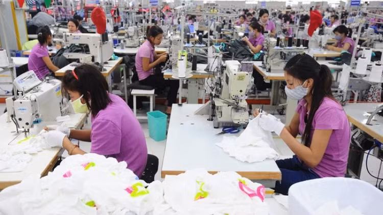 USAID ayuda a empresas pequeñas de Vietnam a mejorar su competitividad ảnh 1 USAID ayuda a empresas pequeñas de Vietnam a mejorar su competitividad ảnh 1