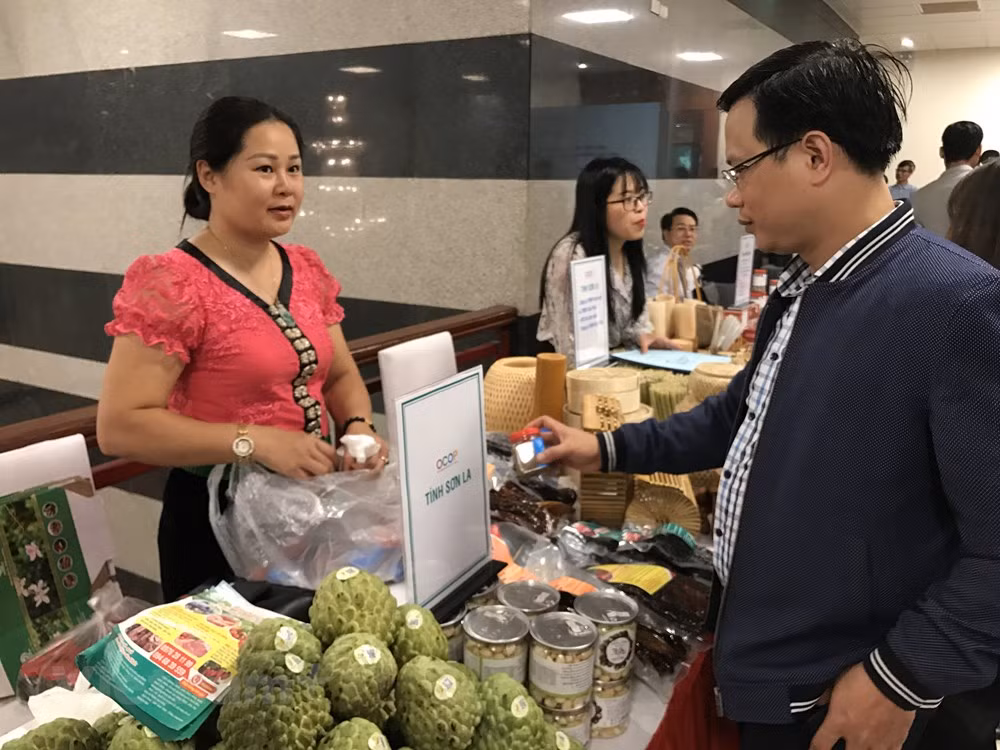 Clave de conexión oferta-demanda para promover el mercado interno ảnh 2