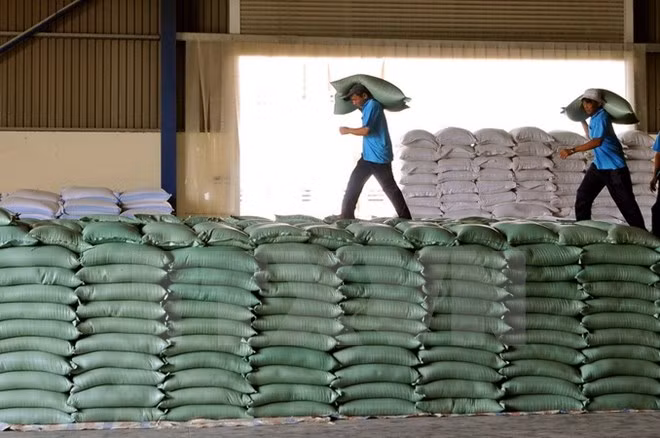 Fuerte aumento de ventas arroceras de Vietnam en enero ảnh 1