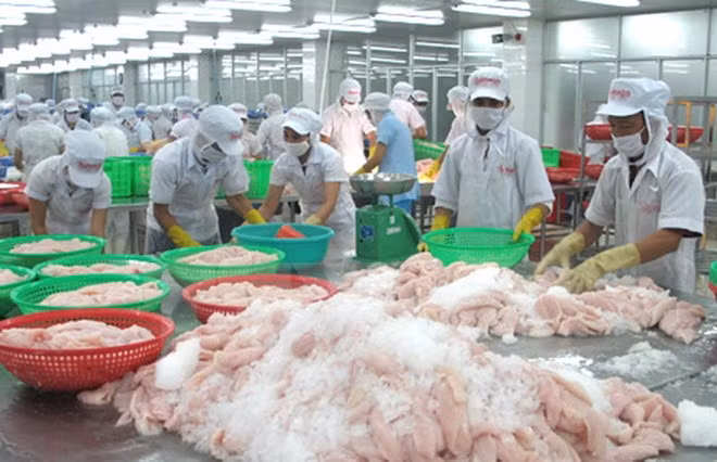 Tien Giang: Exportaciones alcanzan nuevo récord en enero ảnh 1