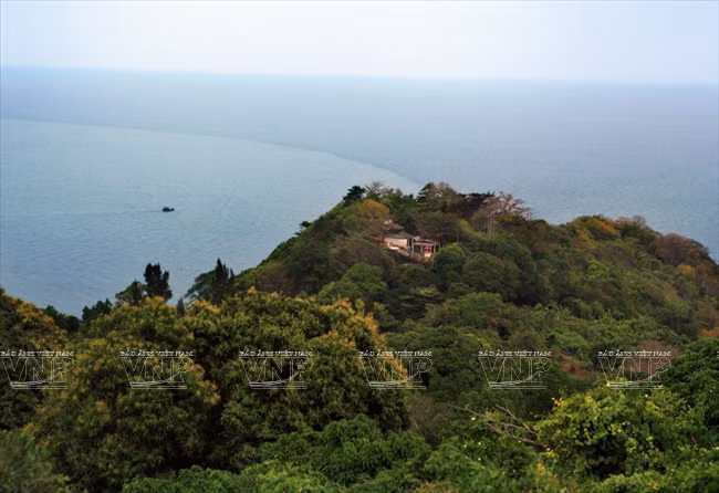 Cabo Ca Mau atrae a visitantes ảnh 1