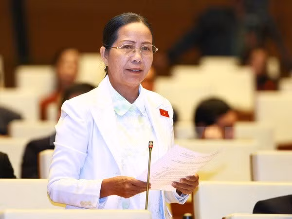 Diputados complacidos con desempeños del presidente y primer ministro ảnh 1