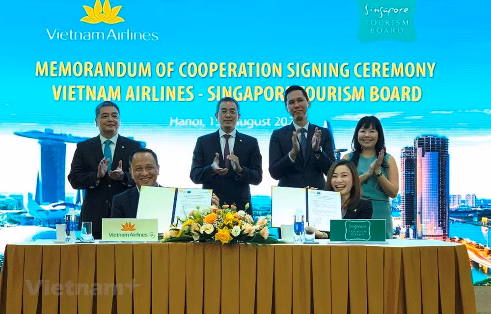 Vietnam y Singapur estrechan lazos en turismo ảnh 1