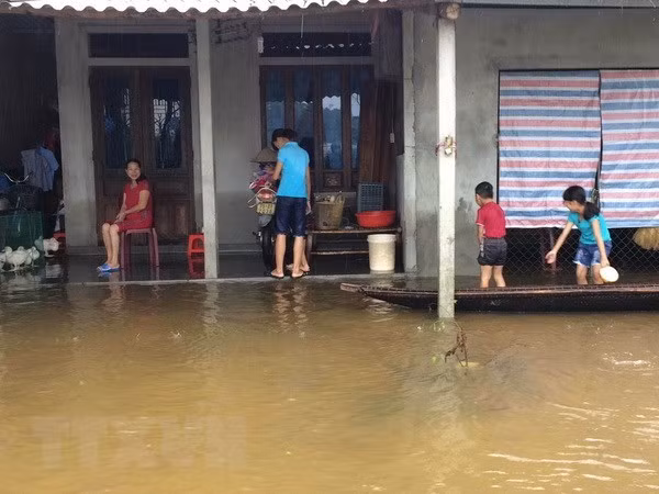 Vietnam apunta reforzar la adaptación al cambio climático y refuerza medidas contra desastres ảnh 1