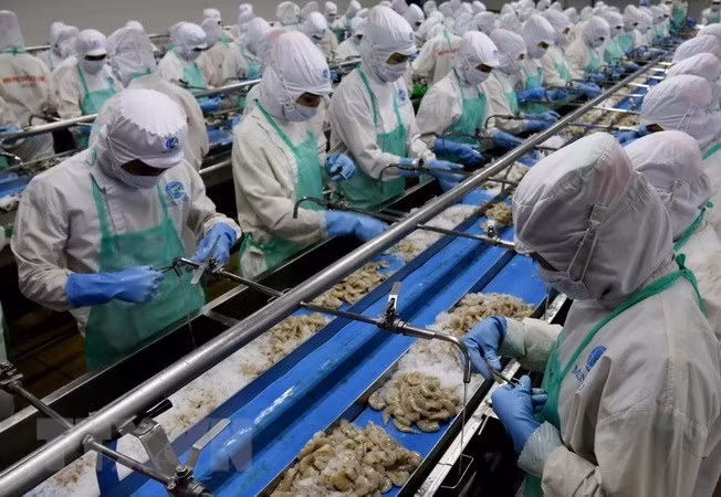 Comisión Europea volverá a examinar esfuerzos de Vietnam contra pesca ilegal en 2019 ảnh 1