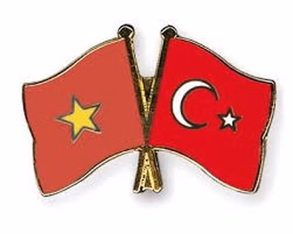 Nexos Vietnam-Turquía en los últimos 40 años, base para profundizar cooperación bilateral ảnh 1