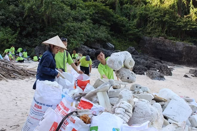 Organizaciones internacionales unen manos para proteger entorno natural en Vietnam ảnh 1 Organizaciones internacionales unen manos para proteger entorno natural en Vietnam ảnh 1