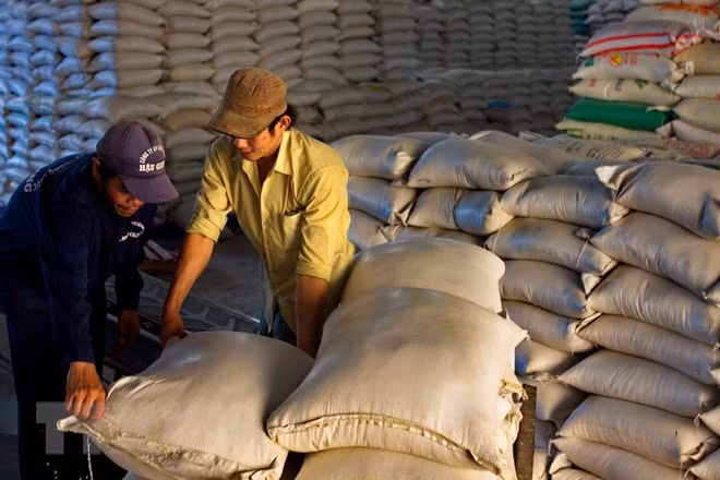 Vietnam gana contrato de exportación de arroz a Corea del Sur ảnh 1