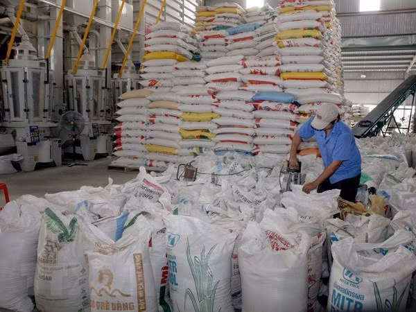 Tailandia se propone exportar más de 10 millones de toneladas de arroz este año ảnh 1