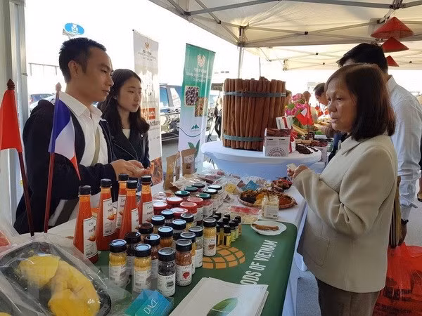 Vietnam promueve la imagen de ciudades de su país en Francia ảnh 1