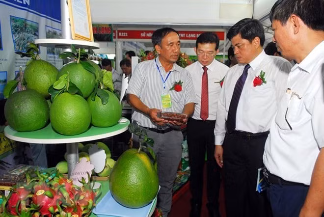 Inauguran en Ciudad Ho Chi Minh feria sobre variedades de plantas y tecnologías agrícolas ảnh 1