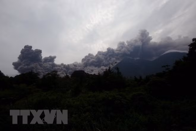 Vietnam expresa su solidaridad con Guatemala tras erupción volcánica ảnh 1 Vietnam expresa su solidaridad con Guatemala tras erupción volcánica ảnh 1