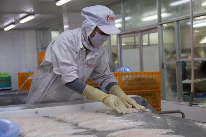 Siguen en tendencia alcista ventas de pescado Tra de Vietnam a Estados Unidos ảnh 1