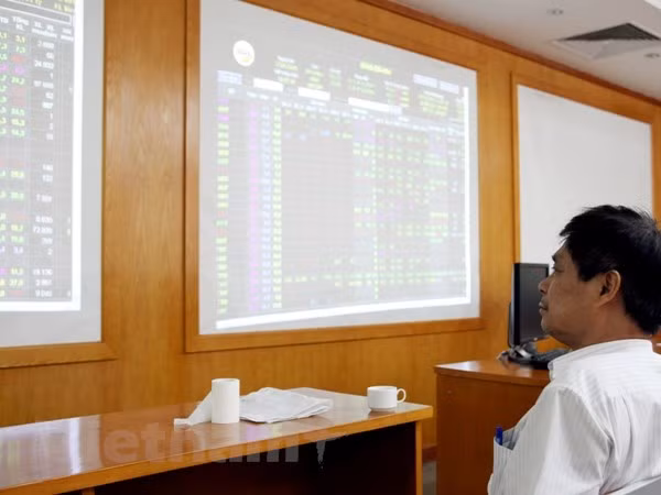 Mercado de derivados en Vietnam atrae alud de capitales ảnh 1 Mercado de derivados en Vietnam atrae alud de capitales ảnh 1