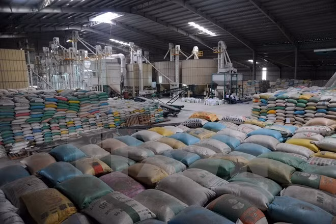 Indonesia registra fuerte incremento de sus exportaciones en mayo ảnh 1