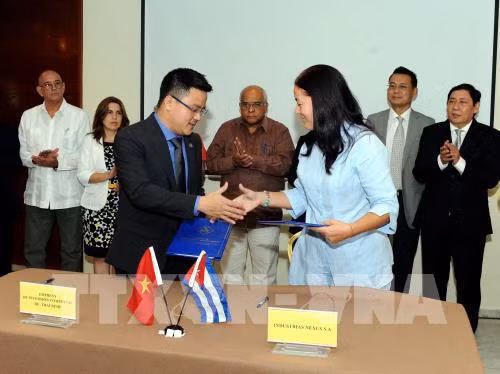 Empresas de Vietnam y Cuba firman acuerdos comerciales ảnh 1